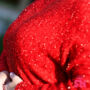 Kép 2/2 - Csillogó piros denevér-ujjú pulóver